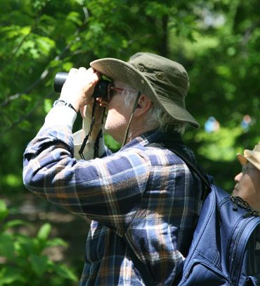 Bird Watching on the farm