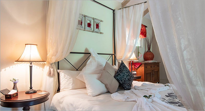 Sunbird Country Suite at the Feathered Nest Sunbird Country Suite at the Feathered Nest